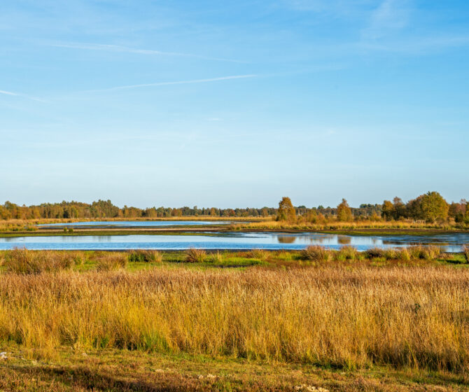 Sfeerafbeelding Bargerveen