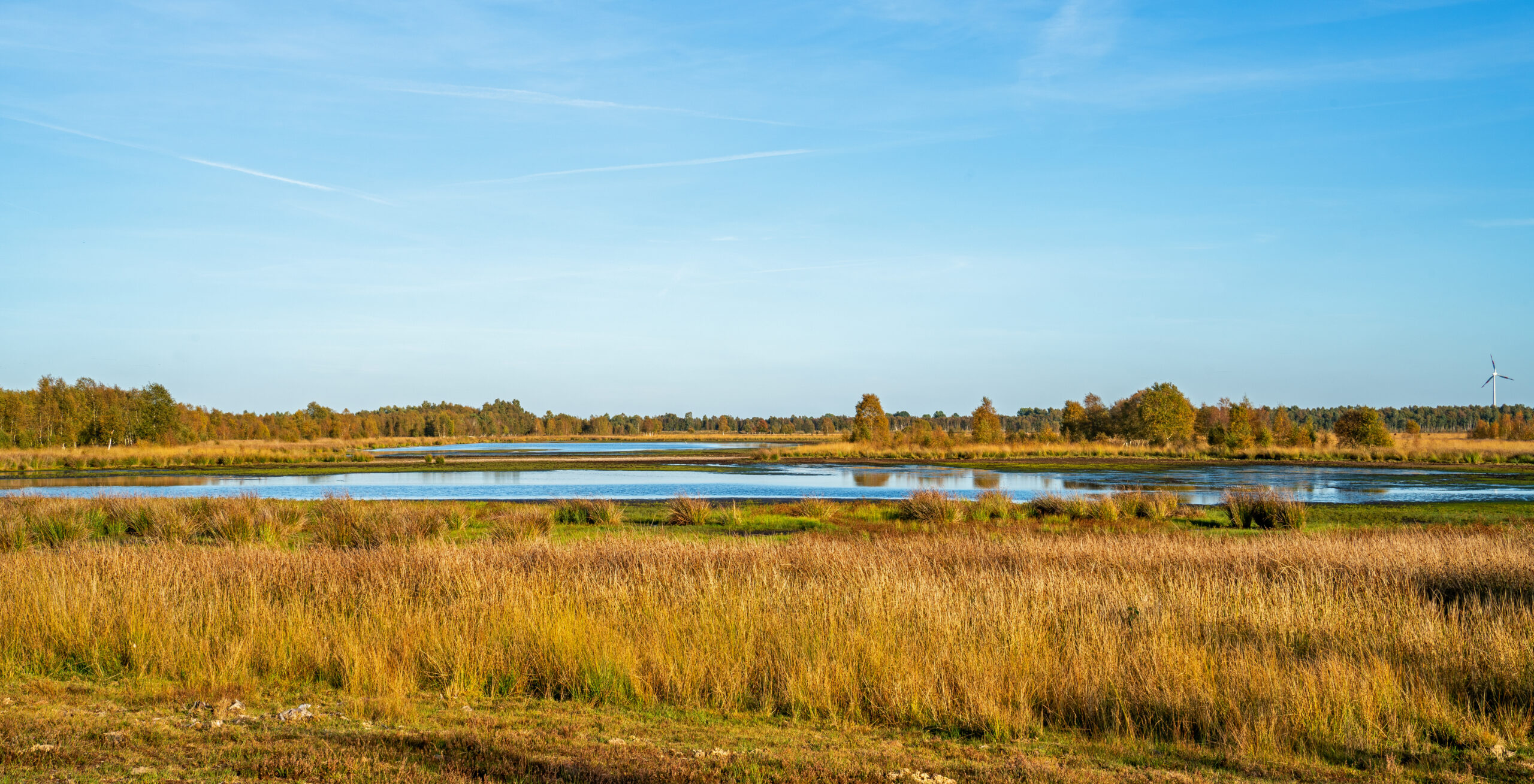 Sfeerafbeelding Bargerveen