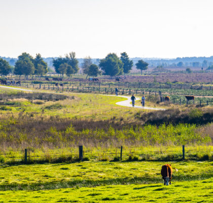 Sfeerafbeelding Bargerveen