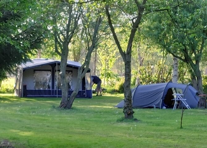 Sfeerafbeelding het Vogelbos