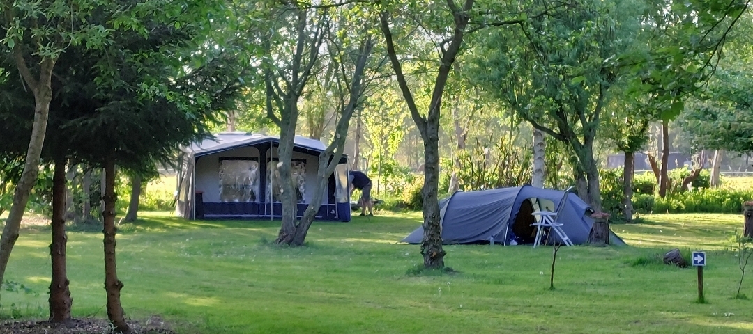 Sfeerafbeelding het Vogelbos