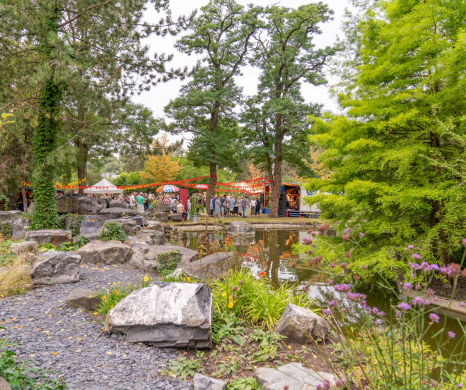 Sfeerafbeelding Rensenpark