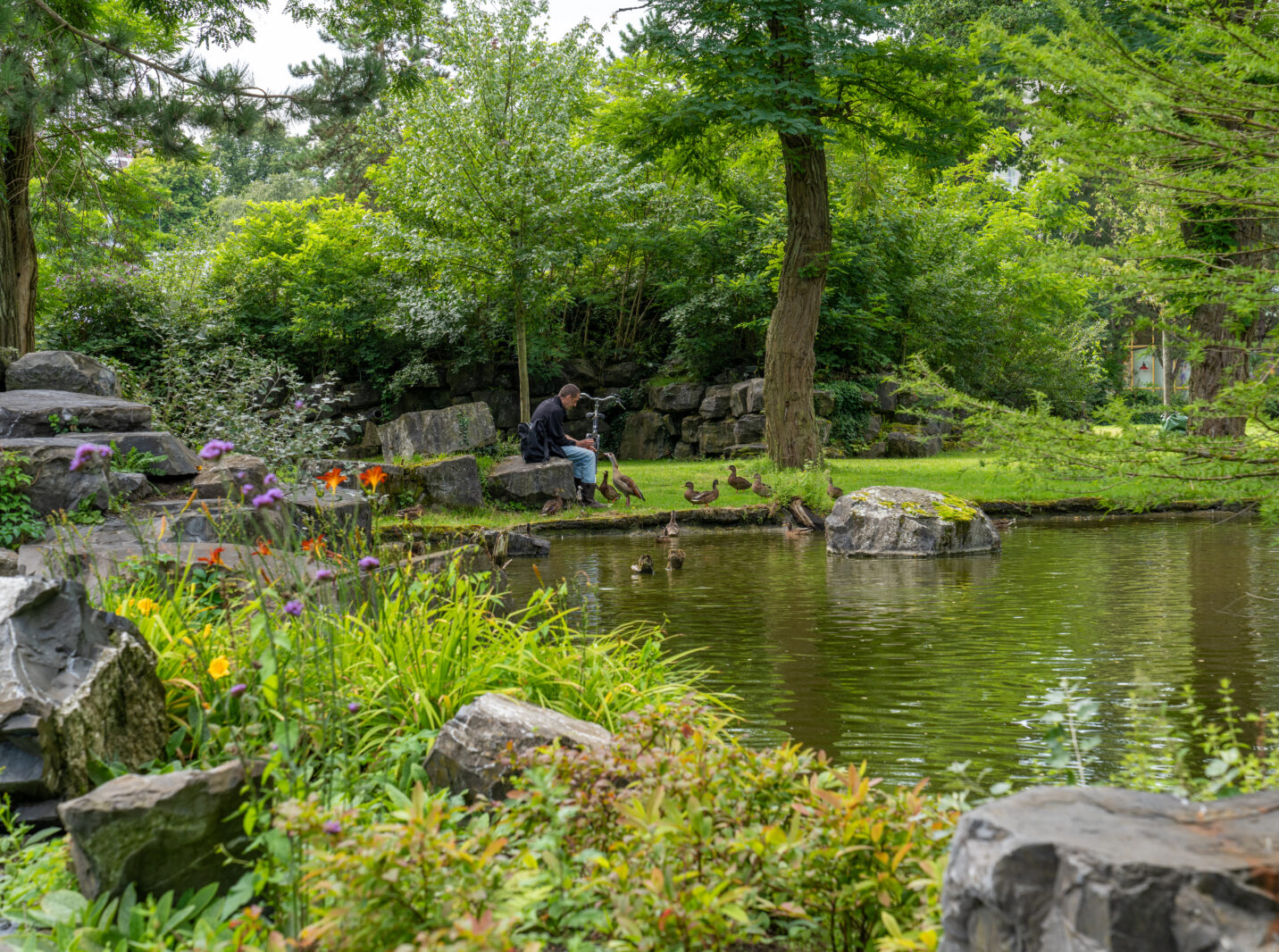 Sfeerafbeelding Rensenpark