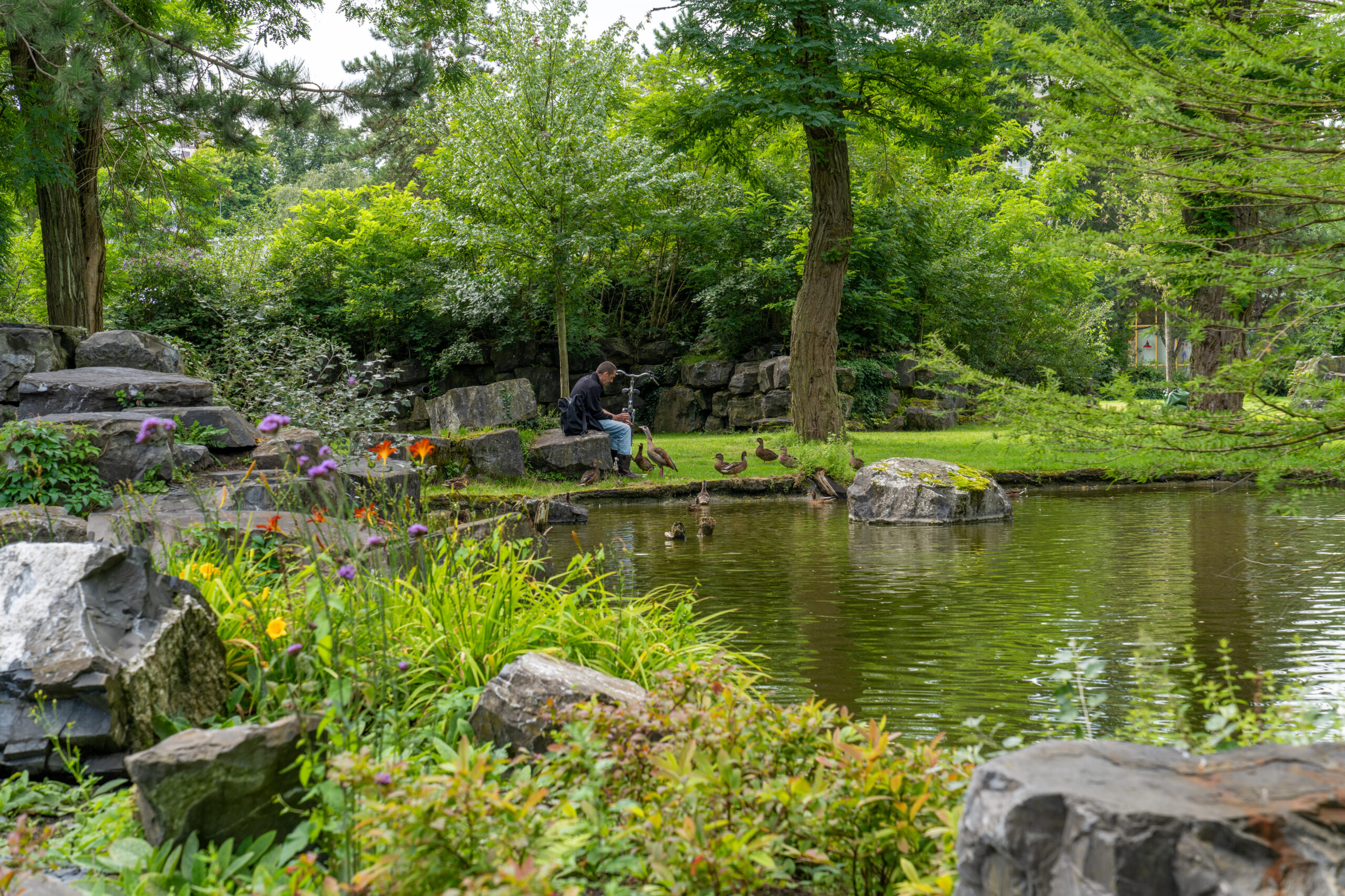Sfeerafbeelding Rensenpark