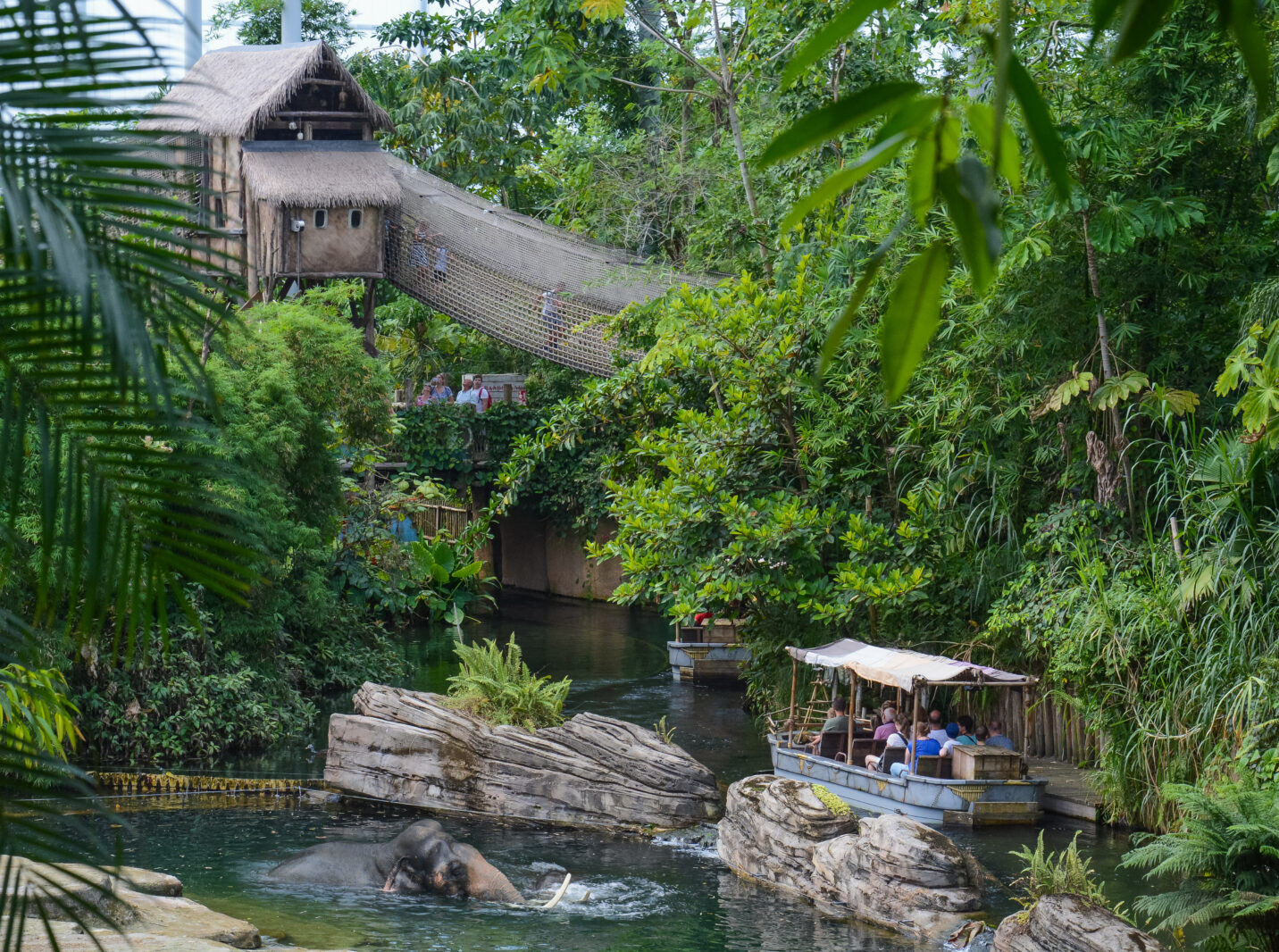 Sfeerafbeelding Wildlands Adventure Zoo Emmen