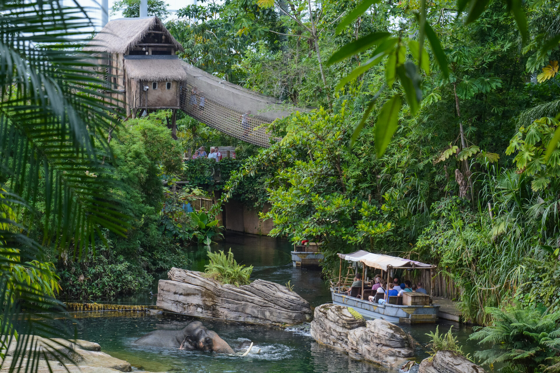 Sfeerafbeelding Wildlands Adventure Zoo Emmen
