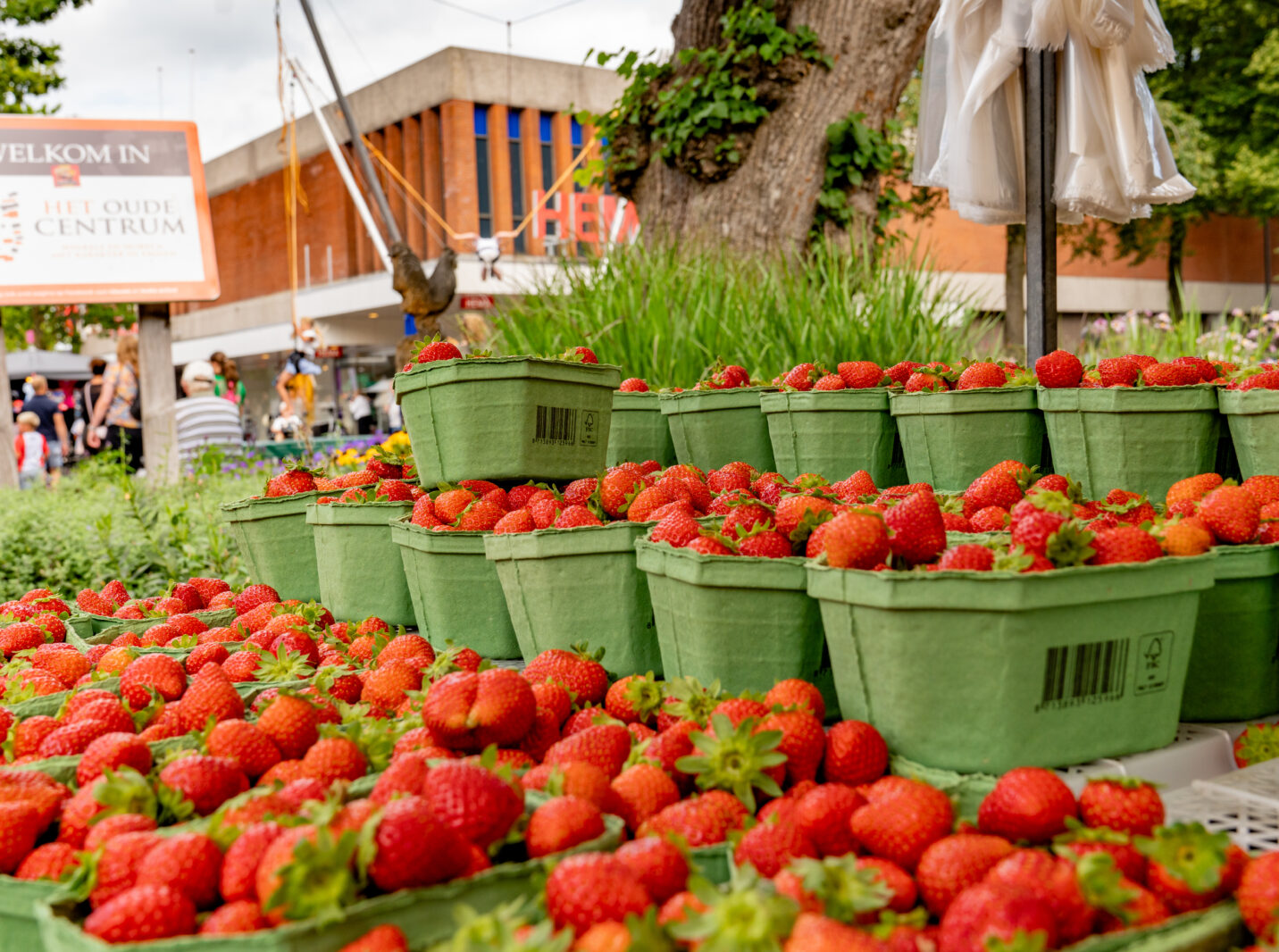 Sfeerafbeelding Markt Emmen