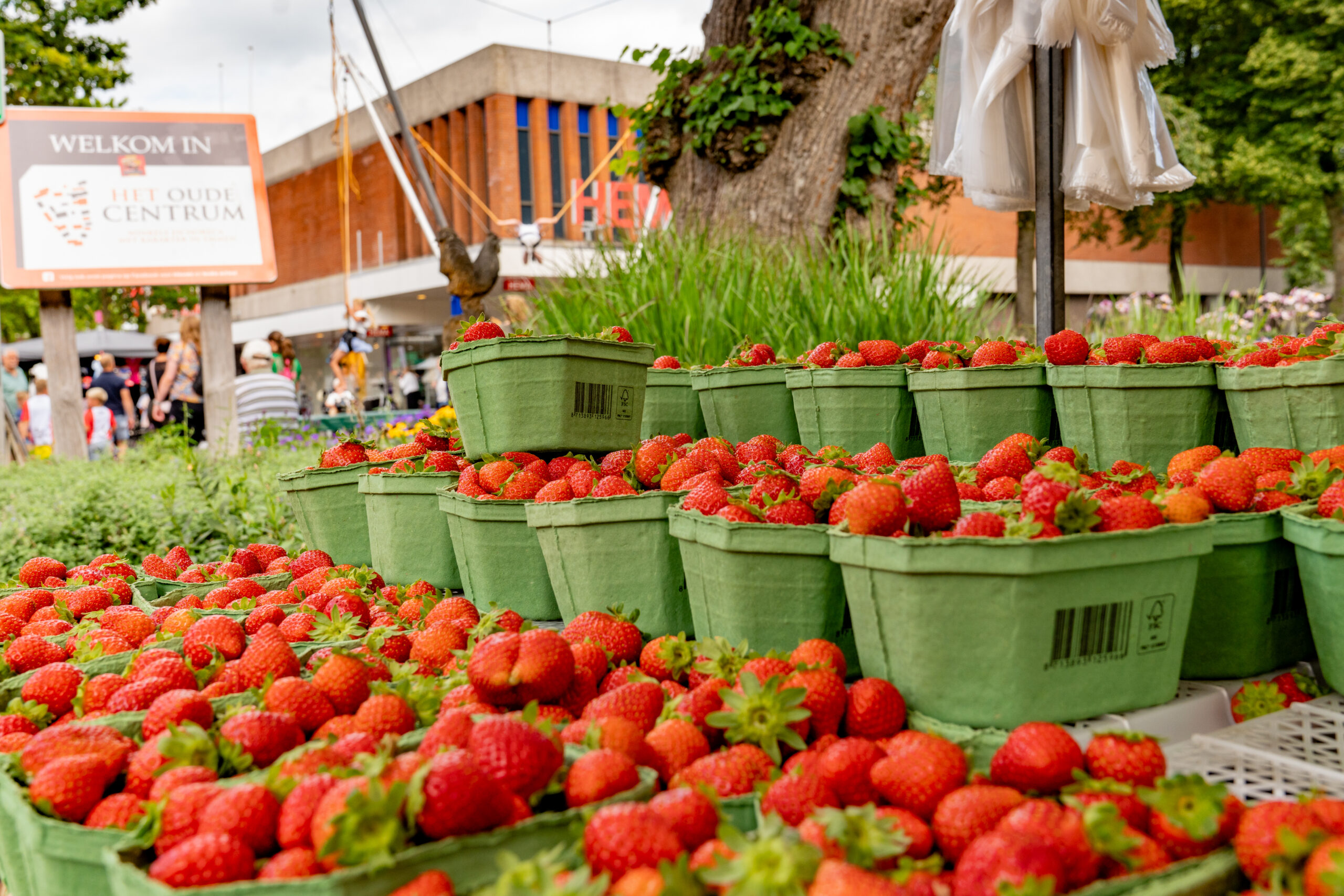 Sfeerafbeelding Markt Emmen
