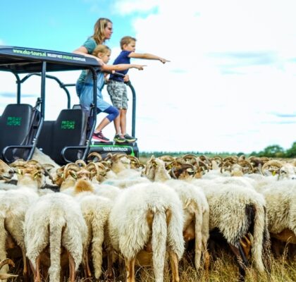 Sfeerafbeelding activiteiten Emmen