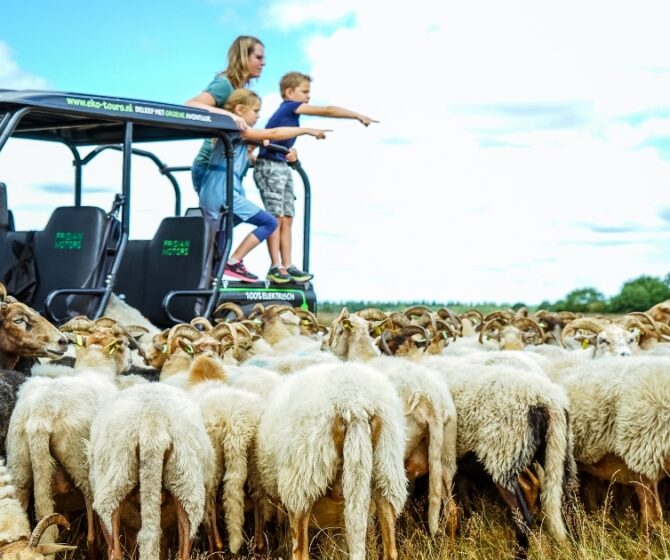 Sfeerafbeelding activiteiten Emmen