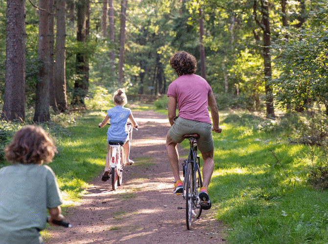 Sfeerafbeelding fietsen