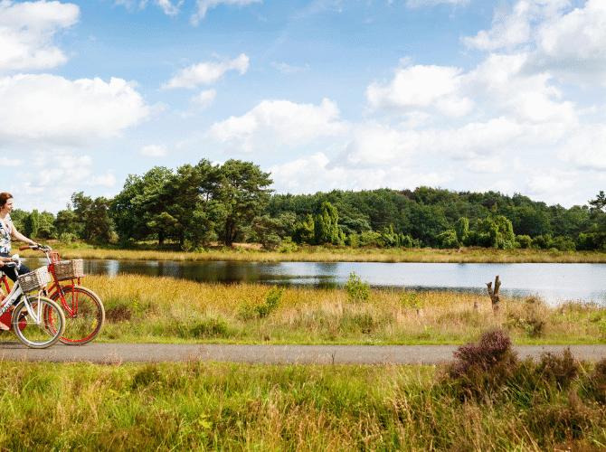 Sfeerafbeelding fietsen in Drenthe