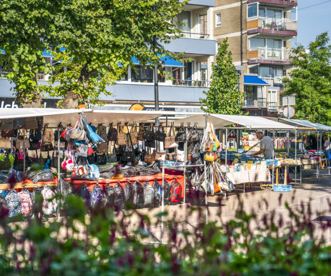 Sfeerafbeelding Vlindermarkt Emmen