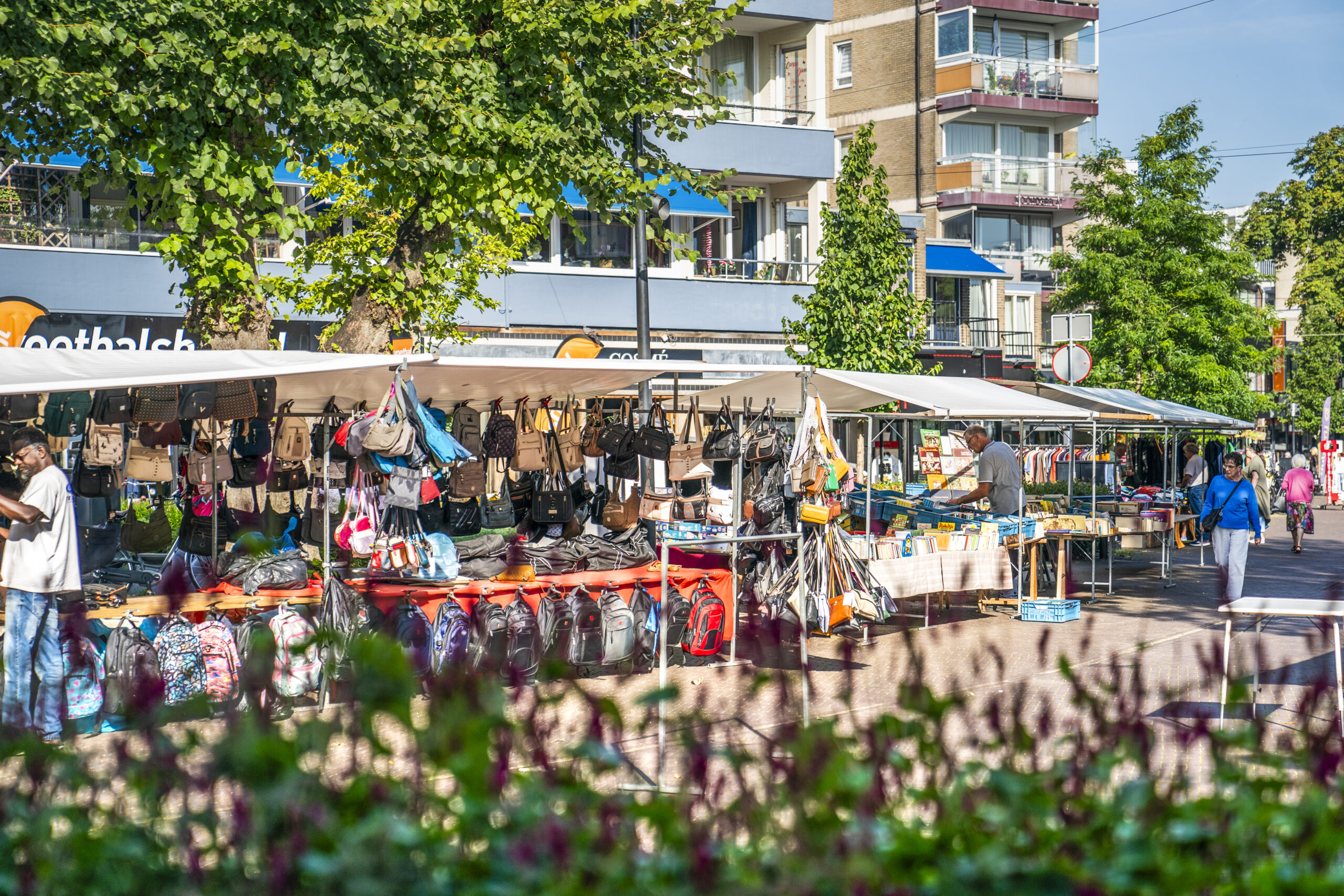 Sfeerafbeelding Vlindermarkt Emmen