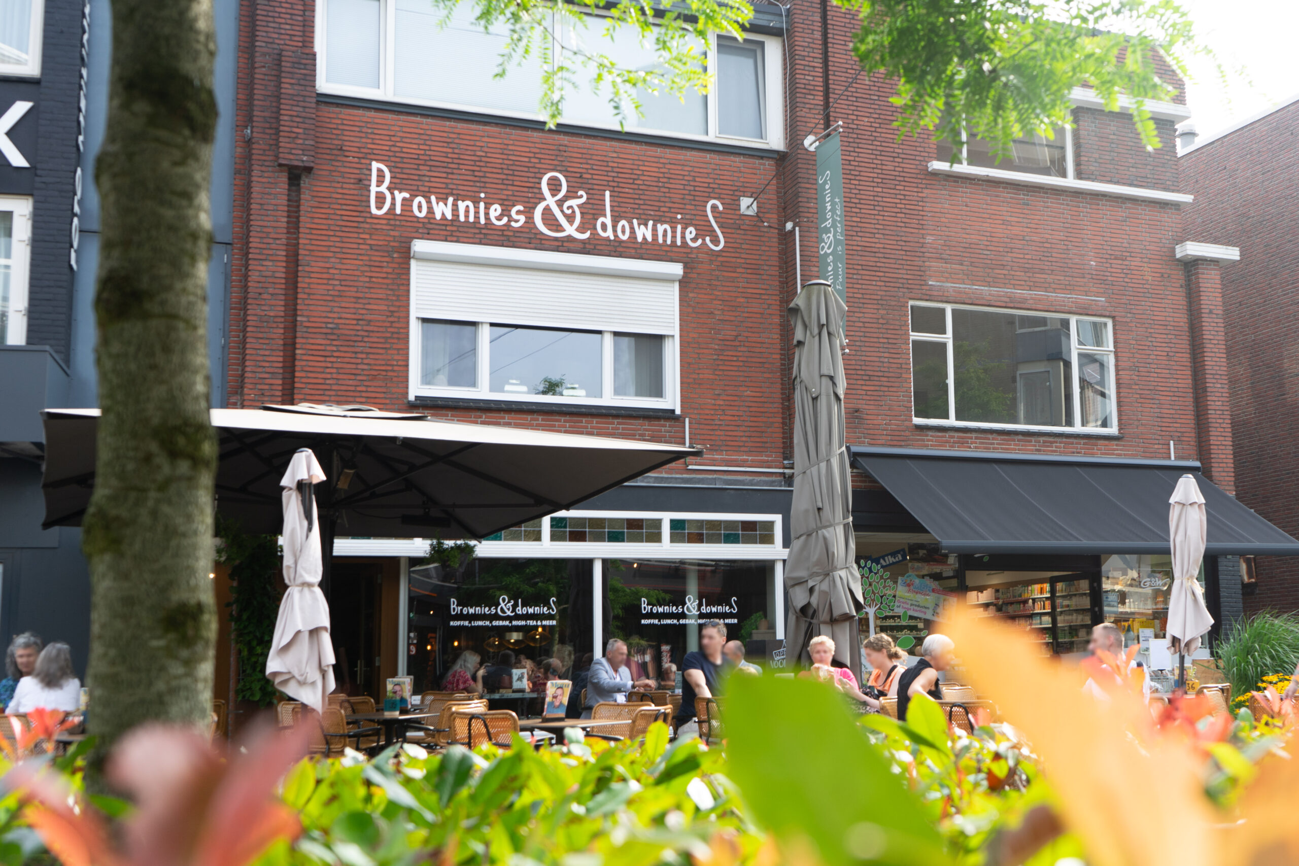 Sfeerafbeelding Brownies en Downies Emmen