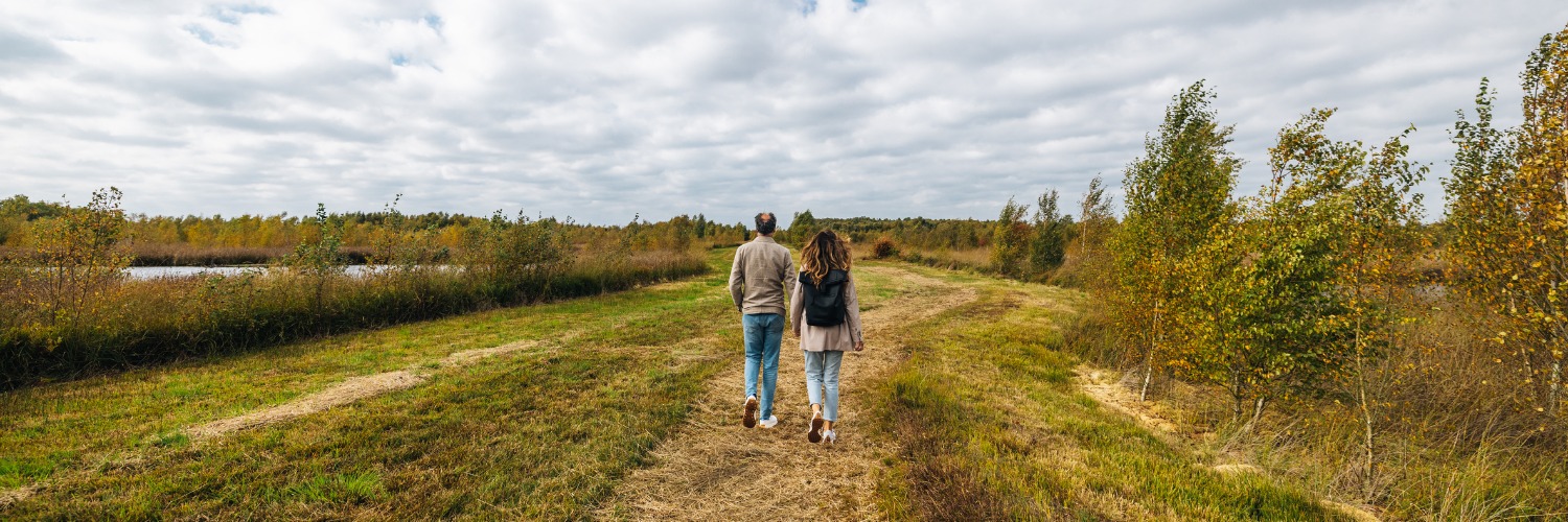Sfeerafbeelding wandelen in het Bargerveen
