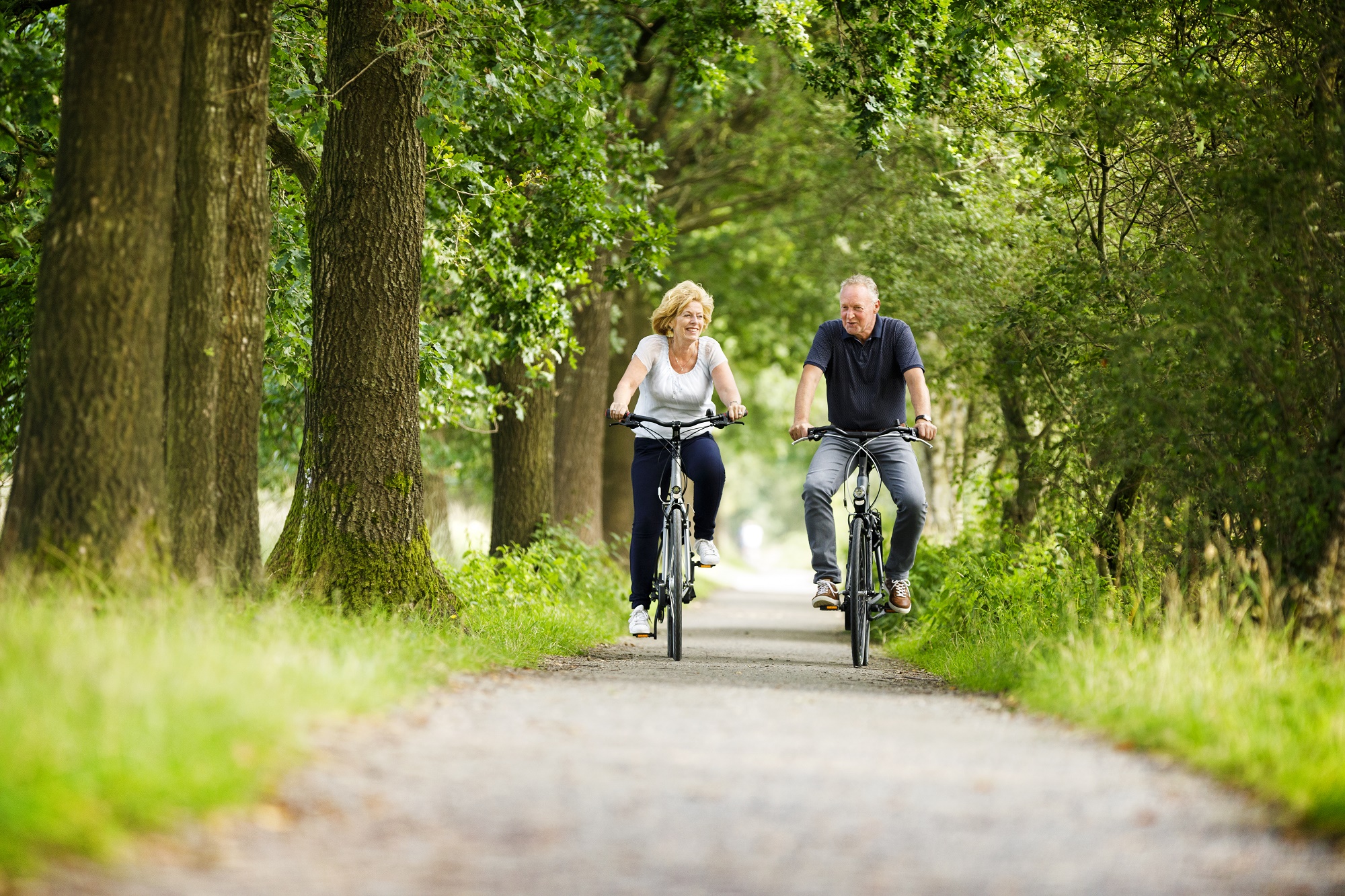 Sfeerafbeelding fietsen in Drenthe
