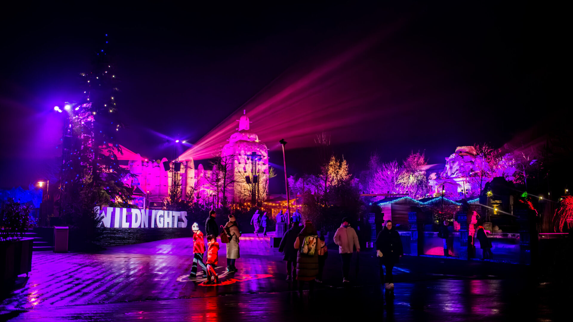 Sfeerafbeelding WILDnights Emmen