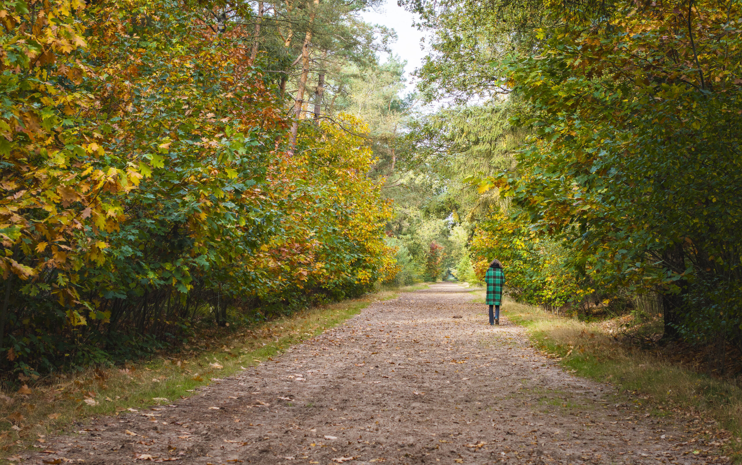 Sfeerbeeld Herfstwandeling