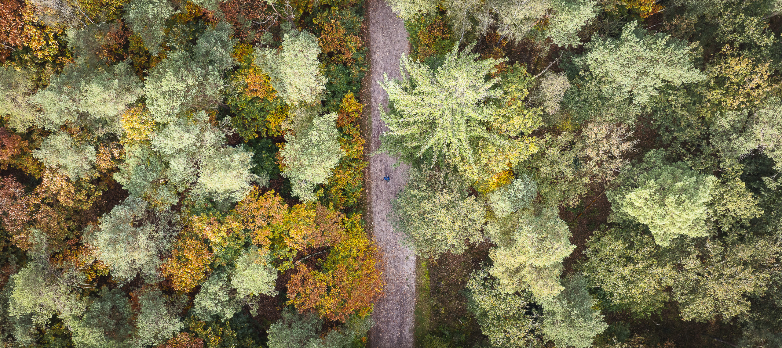 Sfeerbeeld Herfst in Emmen